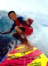 54_Ant_Surfing.JPG (44512 bytes)
