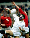 58_Nico_&_Andreas_95_World_Cup.JPG (34607 bytes)