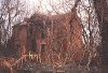 Randolph.gif (98846 bytes)