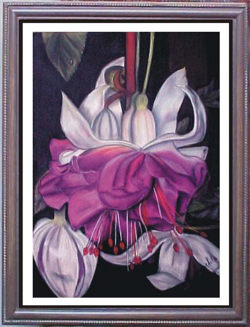 Fuchsia