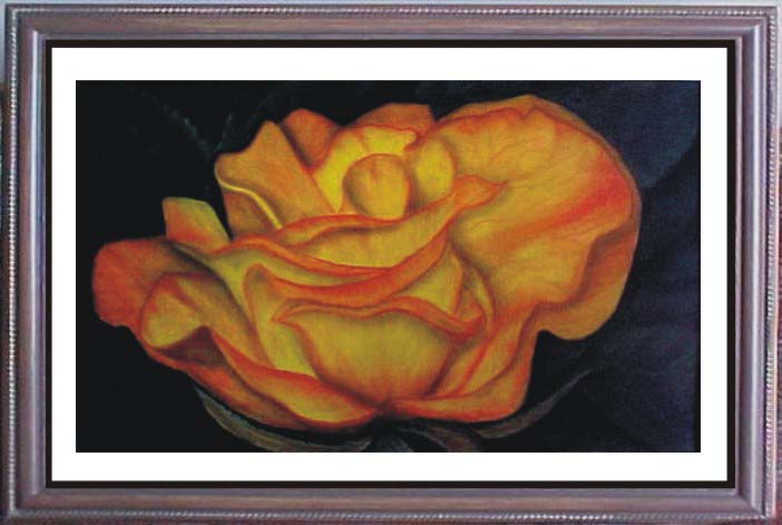 Rosa