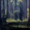 Floresta