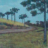 Estrada