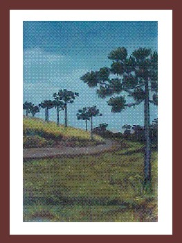 Estrada