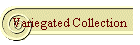 Variegated Collection