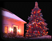 Christmassy scene
