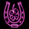 Lucky horseshoe