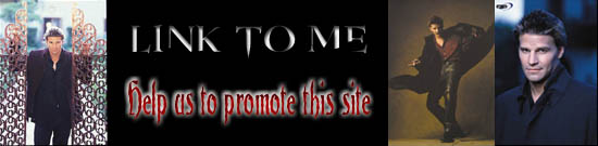 Page title