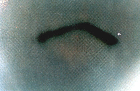 Fot. #B7a. Zdj�cie komory oscylacyjnej UFO