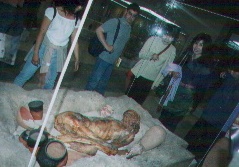 egypt collections