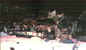 stage of cats