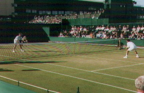 tennis