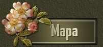 REGRESAR A PAGINA PRINCIPAL DE...
SO�ANDO DESPIERTA
