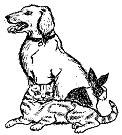 Jennifer's logo