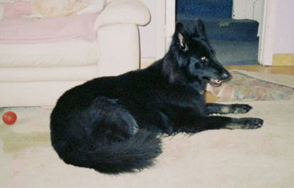 jet lying down