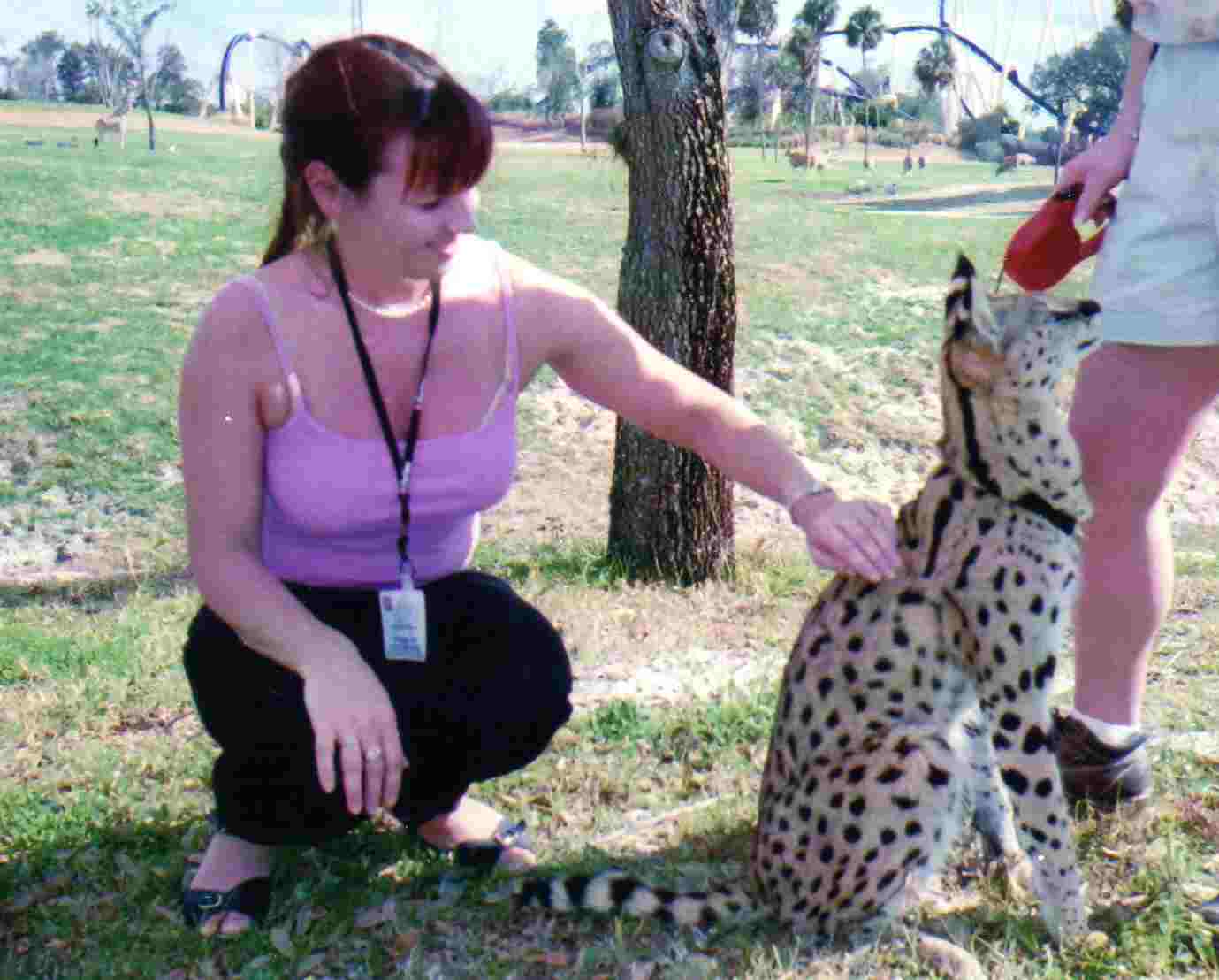jennifer& serval