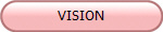 VISION
