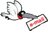 Me mande um e-mail !!!