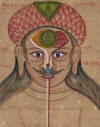 dibujo hind� de los canales vitales del cuerpo