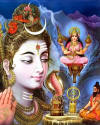 Shiva otra vez