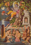 Krishna y sus seguidoras