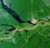 Selva Amaz�nica