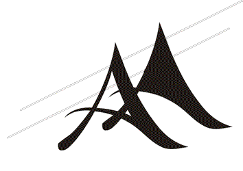 Anisa-SEO-Consultant-logo