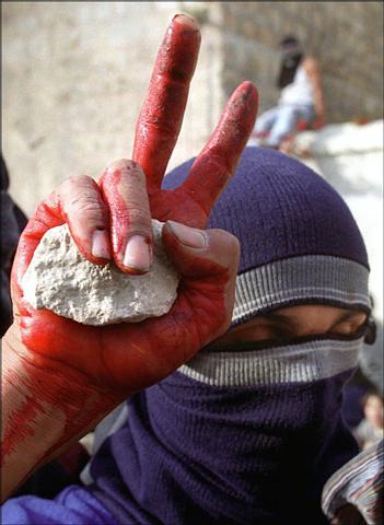 A Palestinian youth, fighting against oppression, fighting for peace