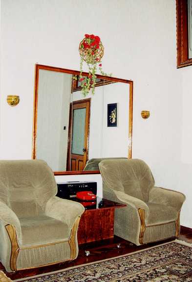 Apt.#3 Living Room - mirror