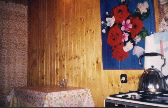 Apt.#1 Kitchen