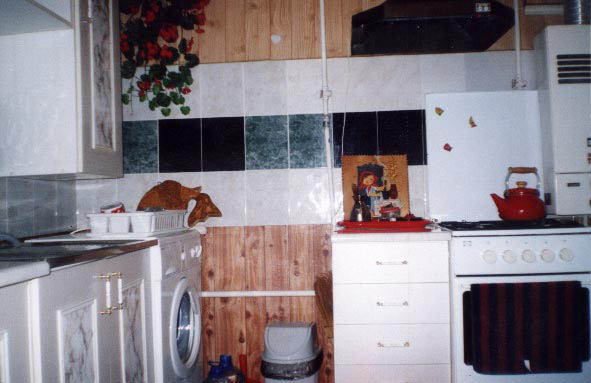 Apt.#2 Kitchen alternate view