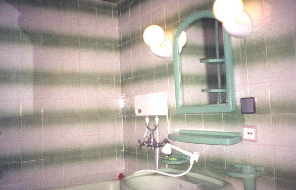 Apt.#4 bathroom