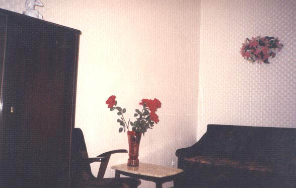 Apt.#4 livingroom