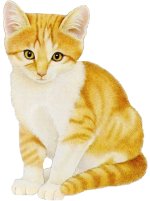 Click On image to download