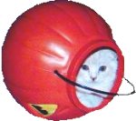 Click On image to download