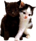 Click On image to download