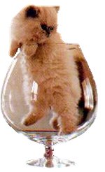 Click On image to download