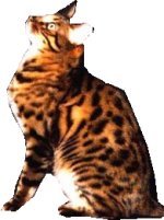 Click On image to download