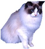 Click On image to download