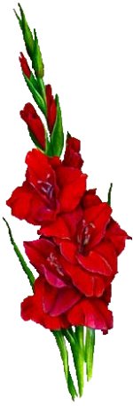 Click On image to download