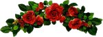 Click On image to download