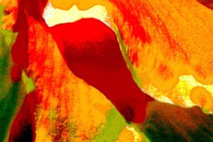 Klick f�r ein gr�sseres Bild