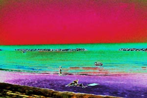Klick f�r ein gr�sseres Bild