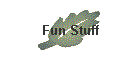 Fun Stuff