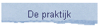De praktijk