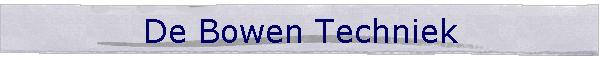 Bowen Techniek