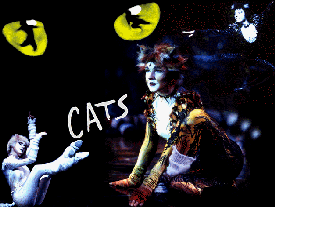 ... Jellicle Cats in action ...