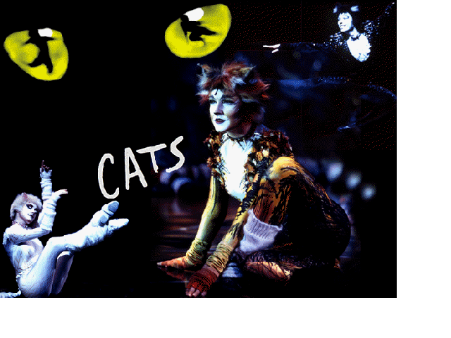 Why don't the cats like grizabella picture
