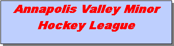 Text Box: Annapolis Valley Minor Hockey League