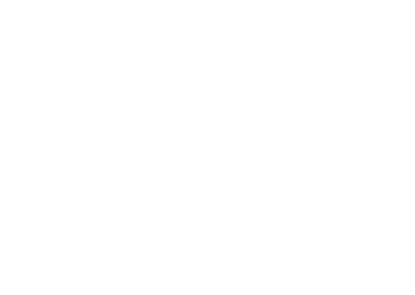 Anna 'Naoyin' Schreter Logo